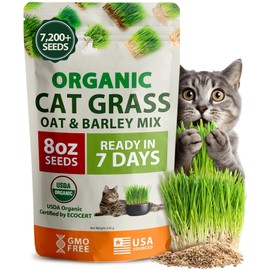 HOME GROWN Organic Cat Grass Seeds Pack 8oz – 7200 𝗡𝗢𝗡-𝗚𝗠𝗢 𝗨𝗦𝗔-𝗦𝗢𝗨𝗥𝗖𝗘𝗗 Heirloom Oat & Barley Grass Seeds for Indoor Cats – High Germination Hairball Relief, Pet Grass Ready in 7Days