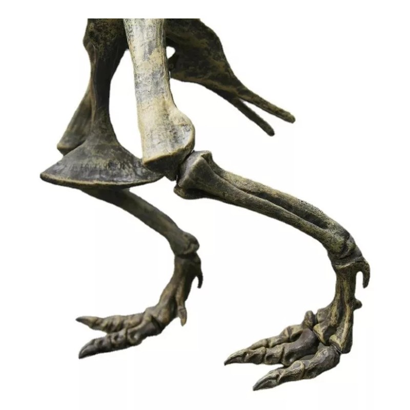 Jextech Esqueleto Tiranosaurio Rex T Rex Dinosaurio Fosil Armar 70cm