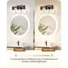 GOEBLESON 3-Light Bathroom Light Fixture, Farmhouse Vanity Lights for Bathroom