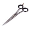DS1 - Barber Scissors (6.5 inch)