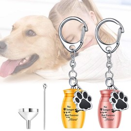 Refoiner Memorial Key Holder Bone Holder Mini Urn 2-Piece Set Pet Urn for Divided Bones Mini Urn for Hand Memorial Bones Accessories Pet Memorial Pendant Buddhist Supplies Funnel Mini Stainless Steel