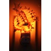Seashell Night Light Real Pink Murex Shell Beach Decor w.