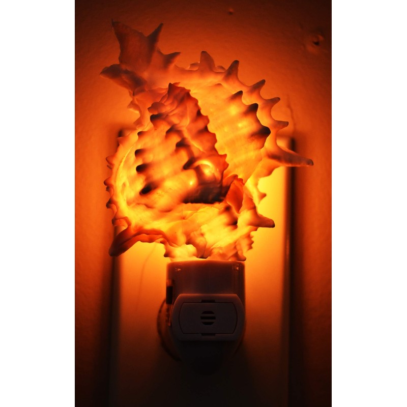 Seashell Night Light Real Pink Murex Shell Beach Decor w.