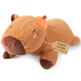 Bobbie & Laxi 25" & 4.5 lbs Capybara Weighted Stuffed Animals with Orange, Cuddly & Soft Kids' Plush Toy Pillows for Companion with Removable Ceramsite Bag, Gifts for Adults, Kids, Boys and Girls