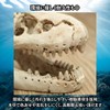 Charmoon Aquarium Object Dinosaur Fossil Bone Cave Shelter Ornament Figurine