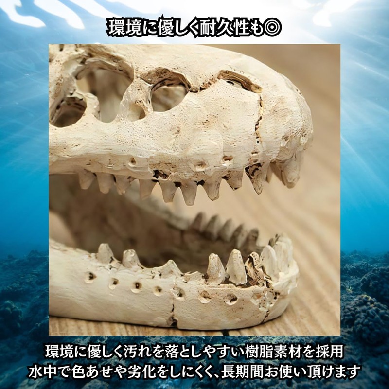 Charmoon Aquarium Object Dinosaur Fossil Bone Cave Shelter Ornament Figurine