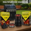 Zebra Smoke Coconuts Charcoal with 72pc Unit Charcoal Cubes, Coconut