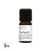 Damtera Tea Tree Oil, 10ml, 5 pieces / 담테라 티트리 오일, 10ml, 5개