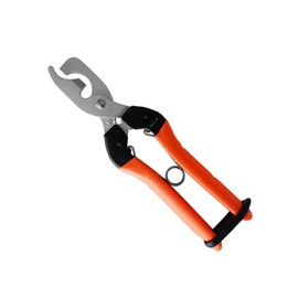 Cactus Grapes For Germinate Catalyst 2 2-Tier Buds Scratches Scissor mebuki No. (A Little Bit Of... B – 11 