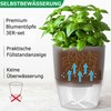 iDattel Herb Pot Kitchen Set, Window Sill, Self-Watering Set of