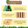Butterfly House and Feeder for Outside, Wooden Butterfly House for