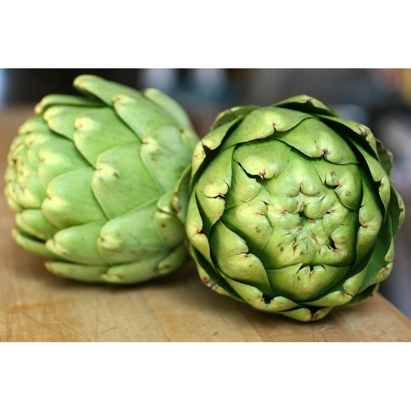 NIKA SEEDS - Seeds Vegetable Green Globe Artichoke - 20