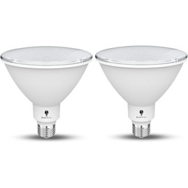 2 Pack High Power Outdoor PAR38 20W 250 Watt Equivalent 2800 Lumens Dimmable LED Flood Light Bulb Super Bright Waterproof E26 6000K Daylite Spotlight Bulbs for Security Backyard Garage Night Chaser