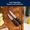 HENCKELS Forged Accent Razor-Sharp 2-pc Paring Knife Set, German Engineered