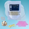 PETIVORE Premium Fish Stick for Sugar Glider and Small Exotic
