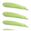 Big Pack - (50) Calabash Long Squash/Melon Seeds, Opo Bottle