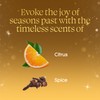 Glade PlugIns Refills Air Freshener, Orange Zest & Clove, Scented