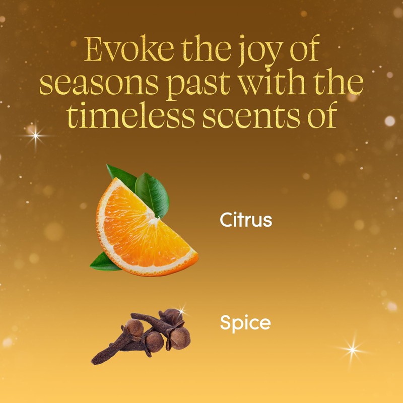 Glade PlugIns Refills Air Freshener, Orange Zest & Clove, Scented