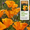 SURVIVAL GARDEN SEEDS Survival Garden Seeds 1 Packet California Poppy