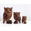 Funky Factory Beautifully Hand-Carved Wooden Owl Made from Sustainable Monkey