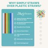 Simply Straws 8 Inch Wide Glass Straws (6-Pack) - 12mm