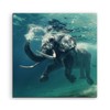 Sinus Art Wall Picture 90 x 90 cm Animal Photography