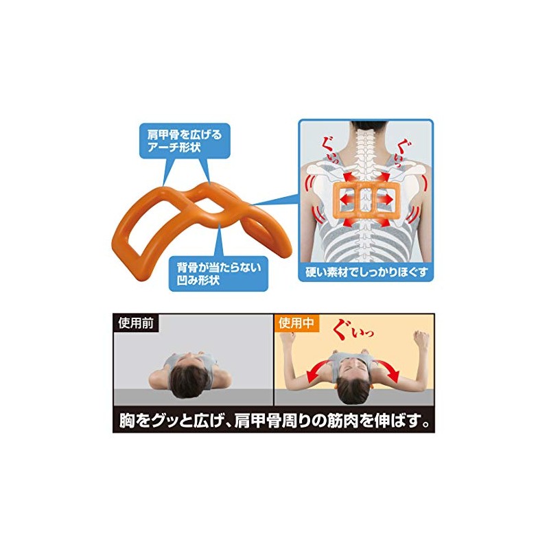 Cyprus Shoulder Stretch, Arch Shape that Widens Shoulder Blades, Stretches