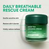 INNISFREE Green Tea Ceramide Cream, Korean Moisturising Face Cream with