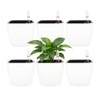 SIBAO 6 Pcs Self Watering Pots with Water Level Indicator,