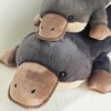 RejoyLix Platypus Plush Toy, Platypus Stuffed Animal,Soft Platypus Gifts Toys,Furry
