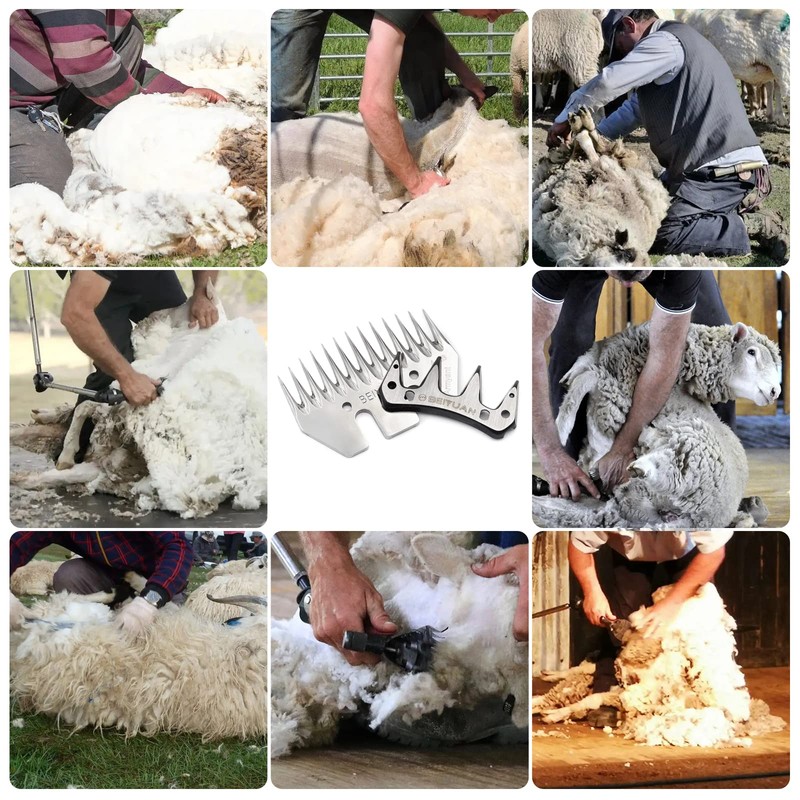 Sheep Blades Shears Shears Sheep Combs Cutter - Metal Sheep