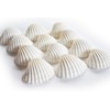 24 Beautiful Small White Ark Shells (1.25-1.5") Beach Wedding Decor