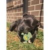 SodaPup USA-K9 Skull Nylon Toy - Durable Nylon Chew Toy