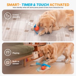 Interactive Dog Toys, Motion Activated Dog Ball, Automatic Rolling Ball Toys for Puppy/Small Dogs