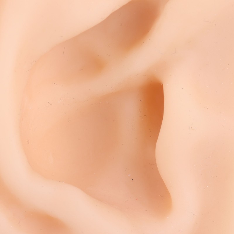 Soft Silicone Ear Model Simulation Ear Acupuncture Practice Model for