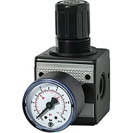 RIEGLER Multifix 100421-R 12-10 Pressure Regulator with Pressure Gauge, BG 1, G 3/8, 0.5-10 Bar, Pack of 1