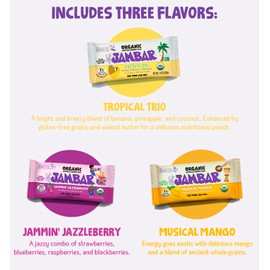 JAMBAR Organic Artisan Energy Bar (Vegan Variety Pack -12 Pack)