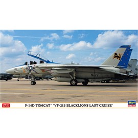 Hasegawa 1/72 US Navy F-14D Tomcat VF-213 Black Lions Last Cruise Plastic Model 02406