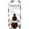 Air Wick Botanica Refill Pack Sage & Eucalyptus Pack of