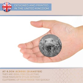 Destination Vinyl ltd Magnet for Refrigerator, Fridge BW - Cute Ginger Guinea?? Pets Animals Fun for Office, Cabinet and Whiteboard, Magnetic Stickers, 41239