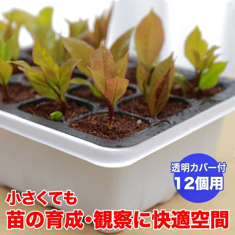 TKY Seedling Pot, Seedling Tray, Sowing, Home Gardening, Gardening Supplies,