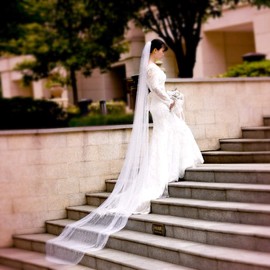 azaleas Wedding Bridal Veil with Comb 1 Tier Cut Edge Fingertip&Cathedral Length Pearl(V05)