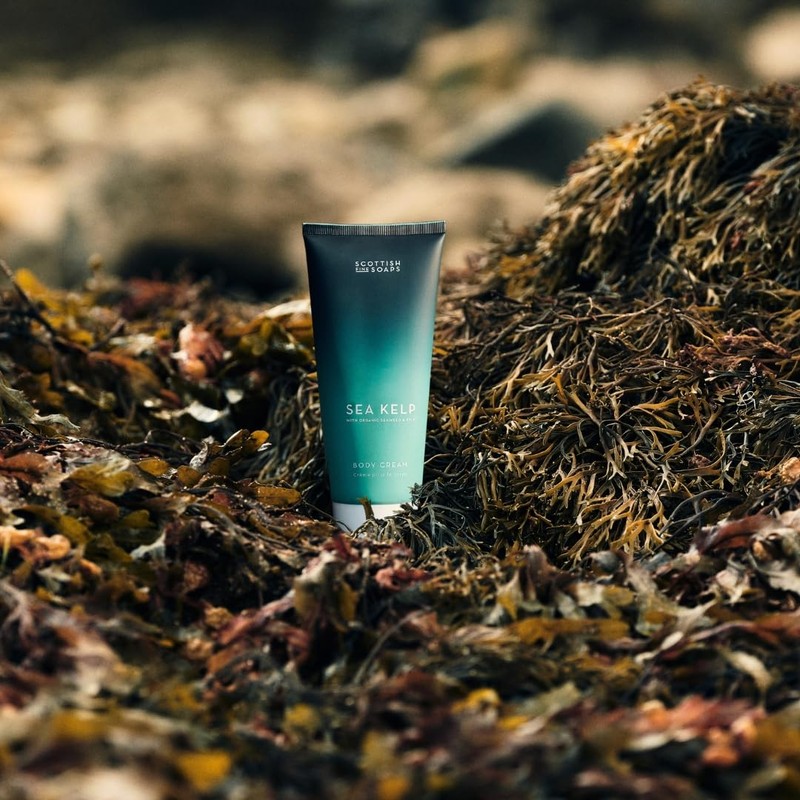 Scottish Fine Soaps Körpercreme Sea Kelp 200ml