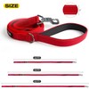Fida 4 FT Heavy Duty Dog Leash with 2 Comfortable