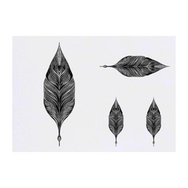 4 x 'Vintage Feather' Temporary Tattoos - Water Resistant, Skin-Safe, Non-Toxic Transfers, Mixed Sizes (TO00084848)