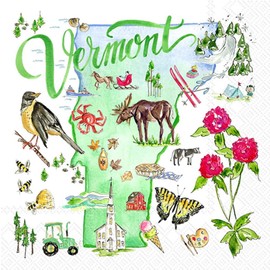 IHR Ideal Home Range Cocktail Napkins Rosanne Beck Disposable 3-Ply Paper Party Napkin Pack, 5" x 5", Vermont, 20-Count