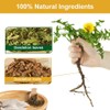 Organic Dandelion Tea, Dandelion Leaf & Root Tea, Herbal Tea,