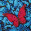 Craft Buddy Crystal Art CCK-A41 Mandala, 18 x 18 cm