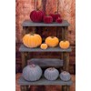 Boston International Decorative Tabletop Velvet Pumpkin, 3 x 3-Inches, Orange