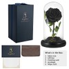 SW Forever Preserved Real Black Rose Flower Birthday Gift for
